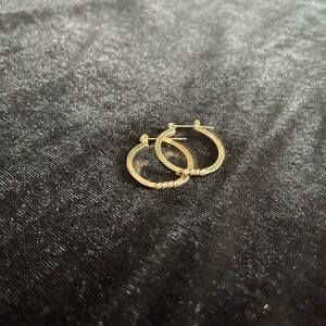 Elegant Gold Hoop Earrings